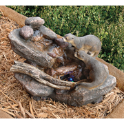 Image Thumbnail for DT CURIOUS SEA OTTERS FOUNTAIN